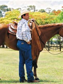 José Aprígio Brandão Vilela